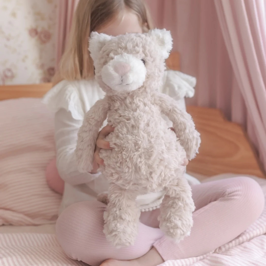 Pickles The Weighted Sensory Cat