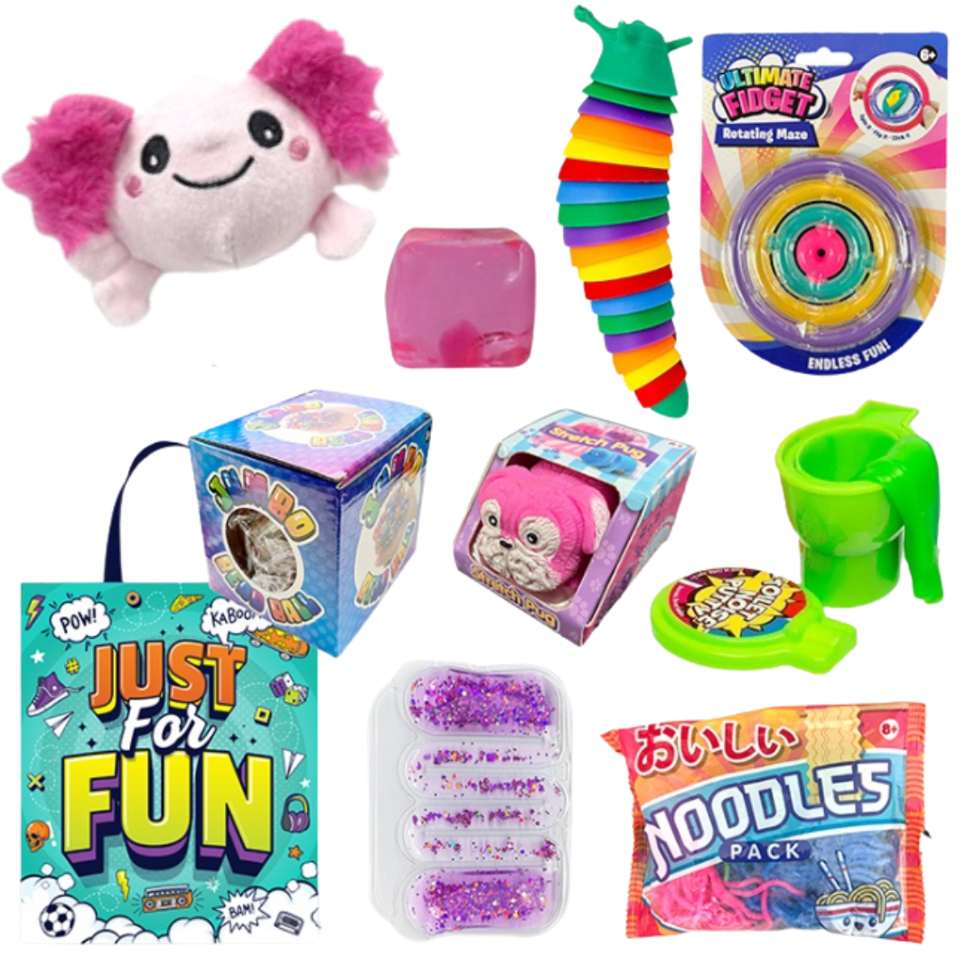 Just For Fun Sensory Fidget Bundle